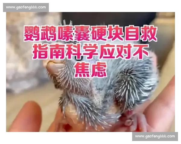 梦魇突袭!科学解析与实用应对指南 梦魇突袭!科学解析与实用应对指南